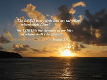Psalm 27 1 The Lord Is My Light by Susan Savad