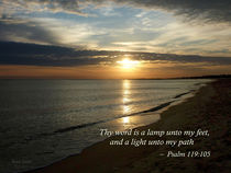 Psalm 119:105 Thy word is a lamp by Susan Savad
