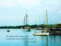 Psalm 107:29 He maketh the storm a calm  by Susan Savad