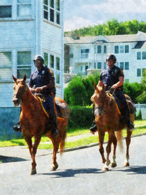 Two Mounted Police by Susan Savad