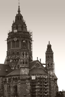 Dom Mainz  by Bastian  Kienitz