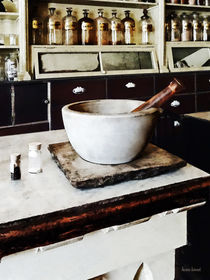 Mortar and Pestle in Apothecary by Susan Savad