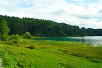 Grünes Ufer am Walchensee von Sabine Radtke