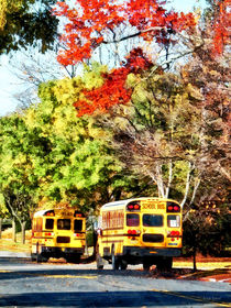 Parked School Bus von Susan Savad