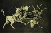 Folly of the Bulls, from the Follies series von Francisco Jose de Goya y Lucientes