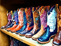 Cowboy Boots by Susan Savad