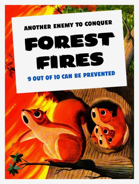 985-470-forest-fires-another-enemy-ww2-public-safety-poster