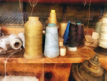 Tailor's Thread by Susan Savad