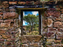 Through the Window 3 by Dave Harnetty