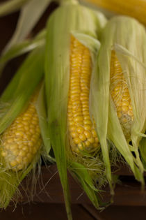 Corn on the cob by Lana Malamatidi