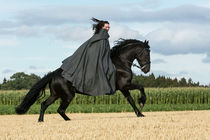 Frisian Rider by Denise Schneider
