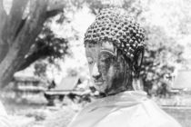 Buddha by Jan Schuler