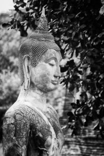 Budha von Jan Schuler