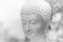 Buddha von Jan Schuler