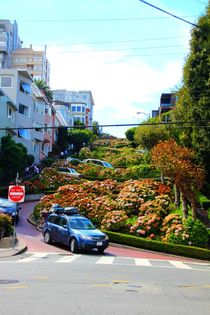 Lombard Street, die Kurvenstraße San Franciscos by ann-foto