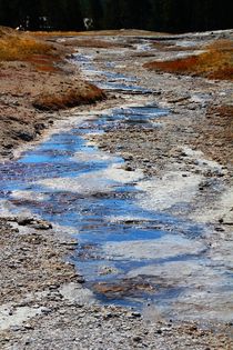 Der leise Schwefelfluss Yellowstone von ann-foto