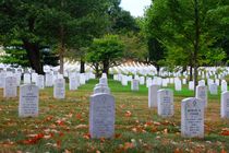 Die Weiten des Arlington Staatsfriedhof Washington D.C. von ann-foto