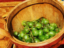 Basket of Green Grapes von Susan Savad