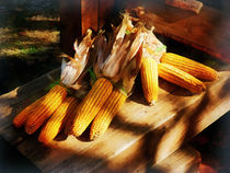 Corn on the Cob at Outdoor Market by Susan Savad