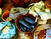 Beans and Seeds von Susan Savad