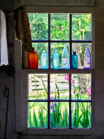 Bottles on Kitchen Window by Susan Savad