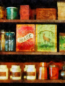 Spices on Shelf by Susan Savad