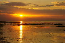 Sonnenuntergang am Wattenmeer von Markus Hartung