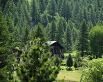 green cottage von emanuele molinari