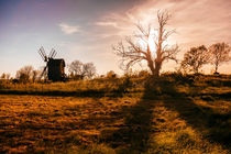 Windmill in the fields by David Pinzer