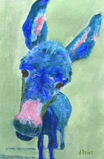 Wonkey Donkey by Jamie Frier