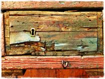 " Obsolete Old wood " by Sandra  Vollmann