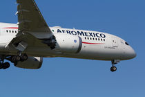 Aero Mexico Boeing 787 von David Pyatt