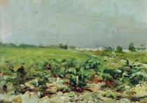 Celeyran, View of the Vineyard von Henri de Toulouse-Lautrec