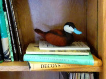 Duck Decoy on Bookshelf by Susan Savad
