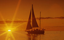Sunset Cruise von David Halperin