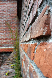 old city wall von feiermar
