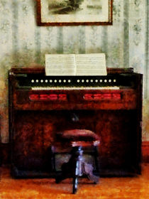 Organ and Swivel Stool by Susan Savad