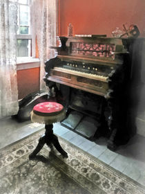 Organ With Petit Point Stool by Susan Savad