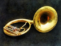 Sousaphone von Susan Savad