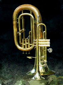 Trumpet and Tuba by Susan Savad