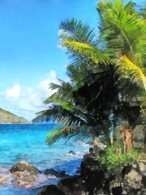 Caribbean - Palm Trees and Beach St. Thomas VI by Susan Savad