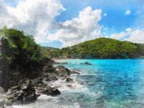 Caribbean - Rocky Shore St. Thomas by Susan Savad