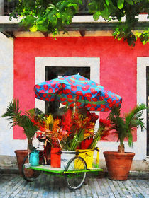 Flower Cart San Juan Puerto Rico by Susan Savad