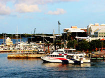 Caribbean - Dock at King's Wharf Bermuda by Susan Savad