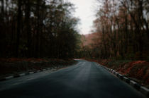 autumn road by Inna Mosina