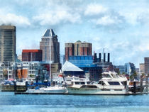 Baltimore MD Skyline and Harbor by Susan Savad