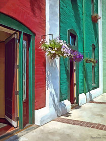 Roanoke VA - Doors and Hanging Baskets by Susan Savad