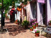 Alexandria VA - Street With Art Gallery and Tobacconist by Susan Savad