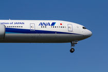 All Nippon Airways Boeing 777 by David Pyatt