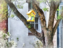 Crooked Bird House by Susan Savad
